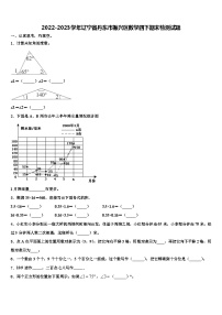 2022-2023学年辽宁省丹东市振兴区数学四下期末检测试题含解析