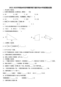 2022-2023学年衡水市安平县数学四下期末学业水平测试模拟试题含解析