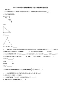 2022-2023学年鲁甸县数学四下期末学业水平测试试题含解析