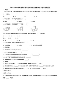 2022-2023学年黑龙江省七台河市新兴区数学四下期末经典试题含解析