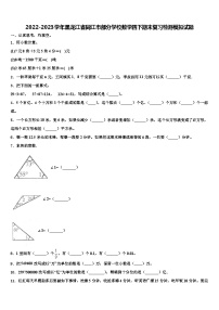 2022-2023学年黑龙江省同江市部分学校数学四下期末复习检测模拟试题含解析