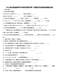 2023届云南省曲靖市罗平县四年级数学第二学期期末质量跟踪监视模拟试题含解析