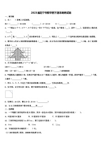 2023届北宁市数学四下期末调研试题含解析