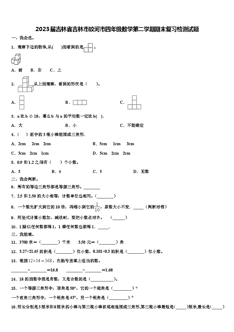 2023届吉林省吉林市蛟河市四年级数学第二学期期末复习检测试题含解析第1页