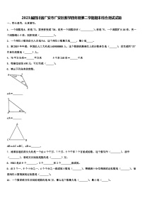 2023届四川省广安市广安区数学四年级第二学期期末综合测试试题含解析