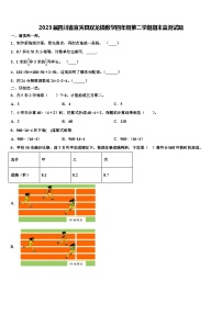 2023届四川省宜宾县双龙镇数学四年级第二学期期末监测试题含解析