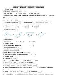 2023届宁夏石嘴山市平罗县数学四下期末监测试题含解析