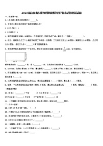 2023届山东省东营市利津县数学四下期末达标测试试题含解析