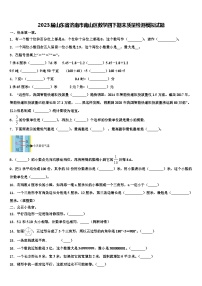 2023届山东省济南市南山区数学四下期末质量检测模拟试题含解析