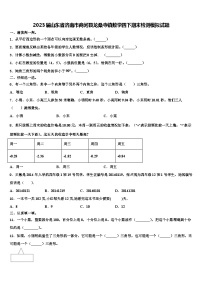 2023届山东省济南市商河县龙桑寺镇数学四下期末检测模拟试题含解析