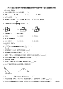 2023届山东省菏泽市郓城县侯咽集镇等14校数学四下期末监测模拟试题含解析