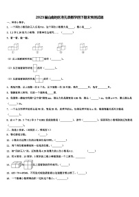 2023届山南地区洛扎县数学四下期末预测试题含解析