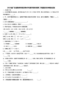 2023届广东省惠州市惠东燕岭学校数学四年级第二学期期末统考模拟试题含解析