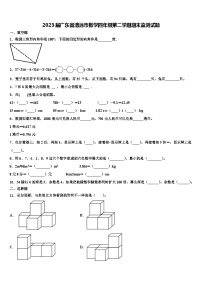 2023届广东省清远市数学四年级第二学期期末监测试题含解析