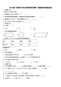 2023届广东省湛江市吴川市数学四年级第二学期期末联考模拟试题含解析