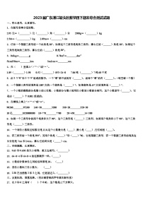 2023届广东湛江坡头区数学四下期末综合测试试题含解析