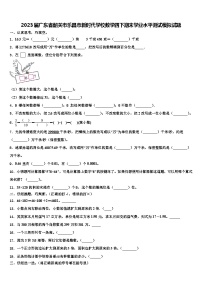 2023届广东省韶关市乐昌市新时代学校数学四下期末学业水平测试模拟试题含解析