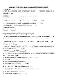 2023届广西壮族柳州市鱼峰区数学四年级第二学期期末检测试题含解析