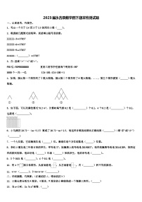 2023届永吉县数学四下期末检测试题含解析