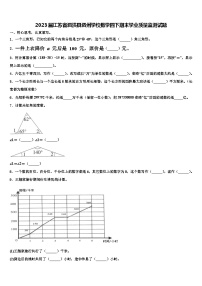 2023届江苏省泗洪县泗州学校数学四下期末学业质量监测试题含解析