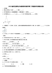 2023届河北省邢台市威县四年级数学第二学期期末检测模拟试题含解析