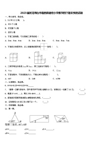 2023届河北邢台市临西县德宏小学数学四下期末预测试题含解析