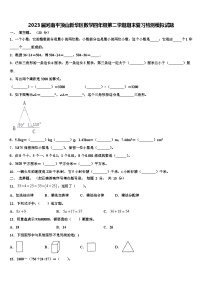 2023届河南平顶山新华区数学四年级第二学期期末复习检测模拟试题含解析