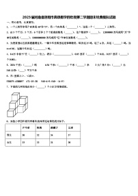 2023届河南省洛阳市嵩县数学四年级第二学期期末经典模拟试题含解析