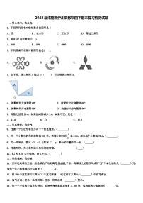 2023届洛阳市伊川县数学四下期末复习检测试题含解析