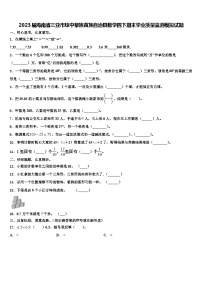 2023届海南省三亚市琼中黎族苗族自治县数学四下期末学业质量监测模拟试题含解析