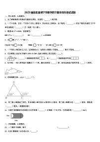 2023届湖北省咸宁市数学四下期末综合测试试题含解析