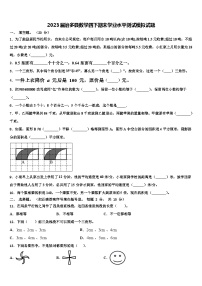 2023届治多县数学四下期末学业水平测试模拟试题含解析