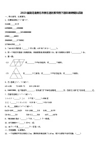 2023届湖北省黄石市黄石港区数学四下期末调研模拟试题含解析