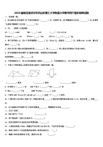 2023届湖北省武汉市洪山区理工大学附属小学数学四下期末调研试题含解析