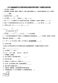 2023届湖南省怀化市通道侗族自治县数学四年级第二学期期末监测试题含解析