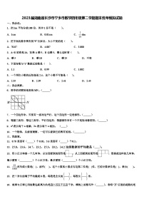 2023届湖南省长沙市宁乡市数学四年级第二学期期末统考模拟试题含解析