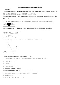 2023届荔波县数学四下期末经典试题含解析