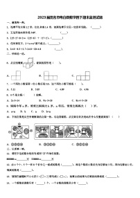 2023届茂名市电白县数学四下期末监测试题含解析