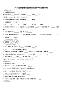 2023届萨嘎县数学四下期末学业水平测试模拟试题含解析