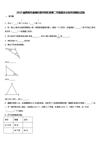 2023届贵阳市南明区数学四年级第二学期期末达标检测模拟试题含解析