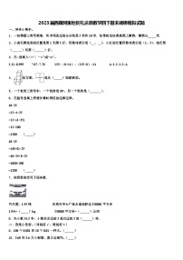 2023届西藏阿里地区札达县数学四下期末调研模拟试题含解析