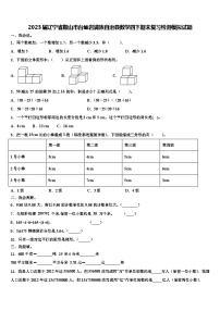 2023届辽宁省鞍山市台岫岩满族自治县数学四下期末复习检测模拟试题含解析