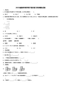 2023届雷州市数学四下期末复习检测模拟试题含解析