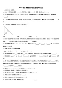 2023年东明县数学四下期末预测试题含解析