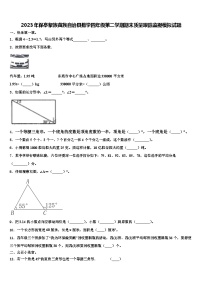 2023年保亭黎族苗族自治县数学四年级第二学期期末质量跟踪监视模拟试题含解析