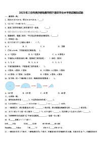 2023年三亚市西沙群岛数学四下期末学业水平测试模拟试题含解析