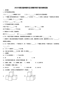 2023年四川省绵阳市北川县数学四下期末调研试题含解析