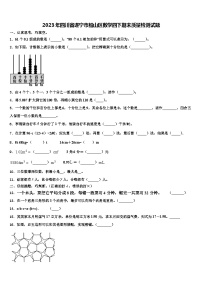 2023年四川省遂宁市船山区数学四下期末质量检测试题含解析