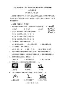 浙江省温州市乐清市2022-2023学年六年级下学期期末考试数学试题