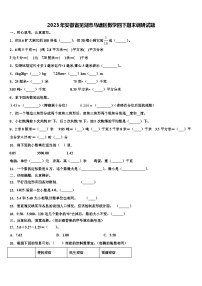 2023年安徽省芜湖市马塘区数学四下期末调研试题含解析